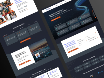 Preview of InterSystems Development Hub portal