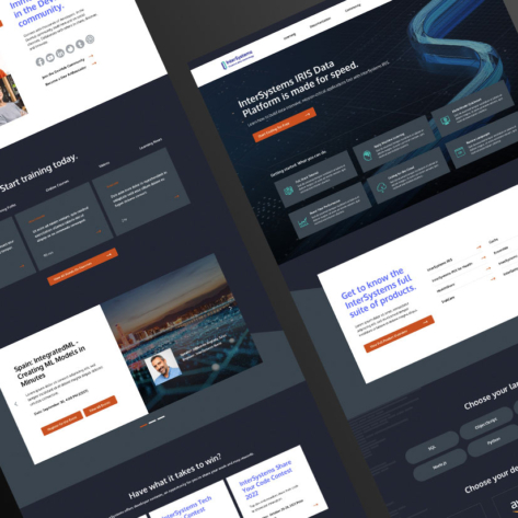 Preview of InterSystems Development Hub portal