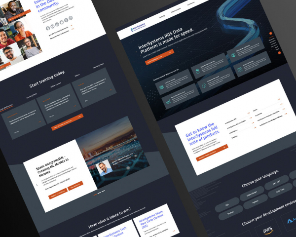 Preview of InterSystems Development Hub portal