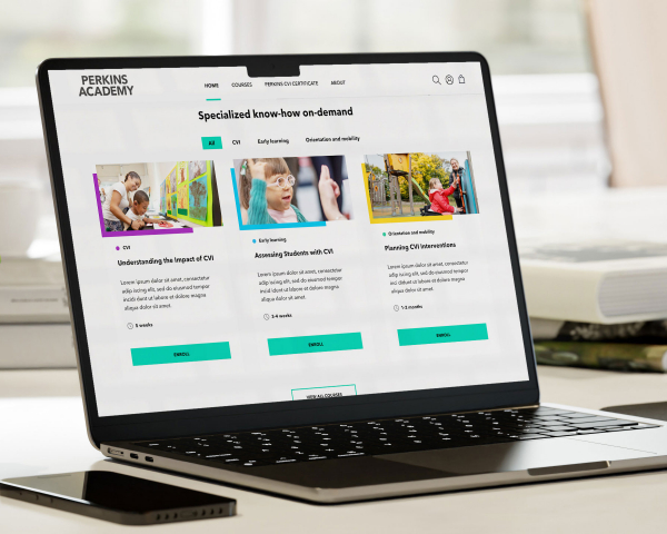 Example of our web development work