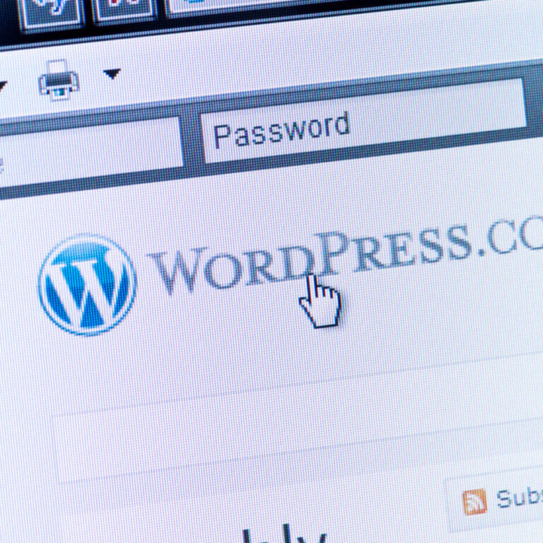 Enterprise WordPress Development