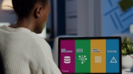 PepsiCo Global Information Security Requirements preview