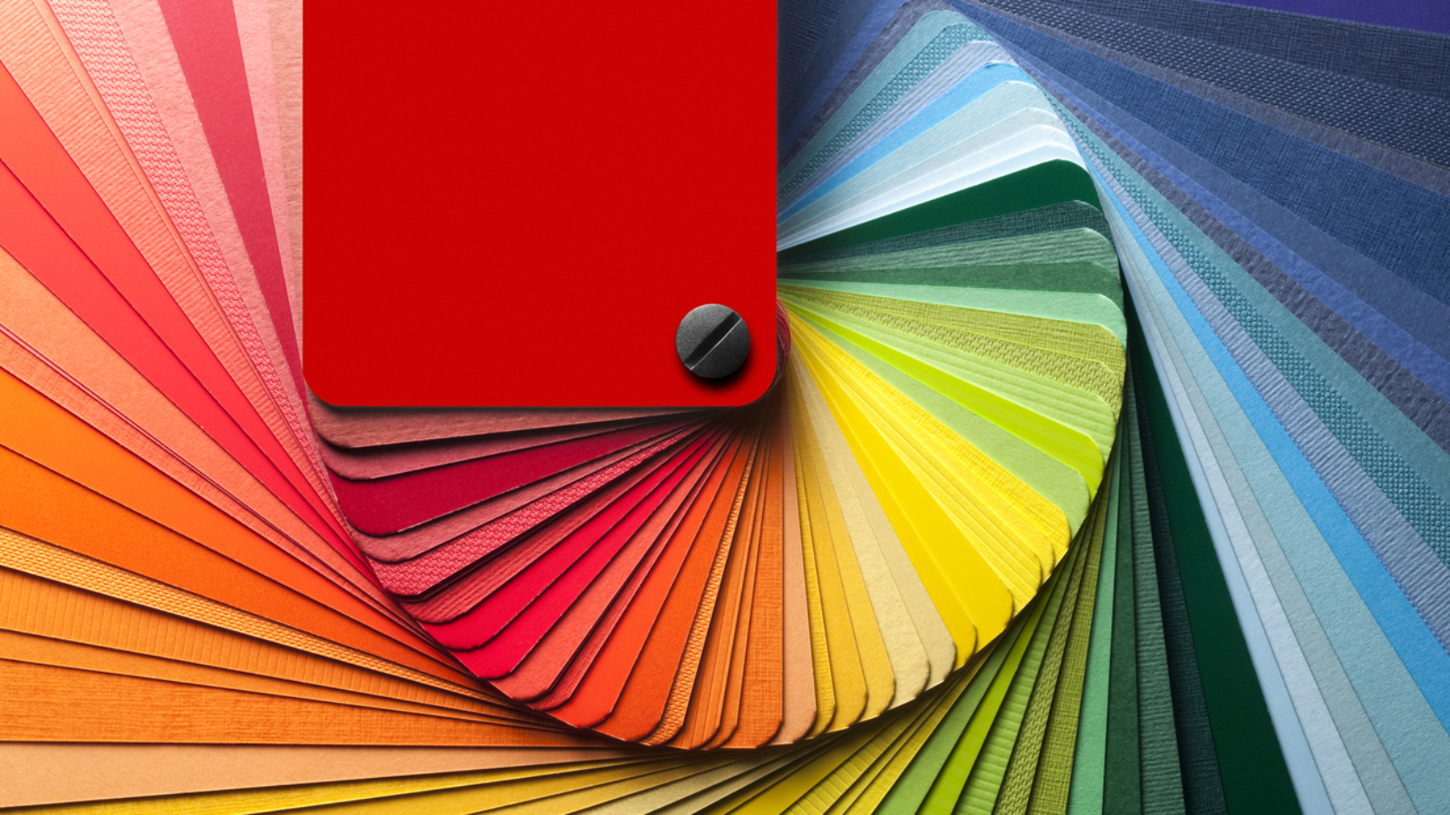 Colors palettes.