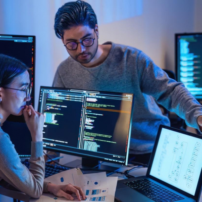 Software professionals at work.