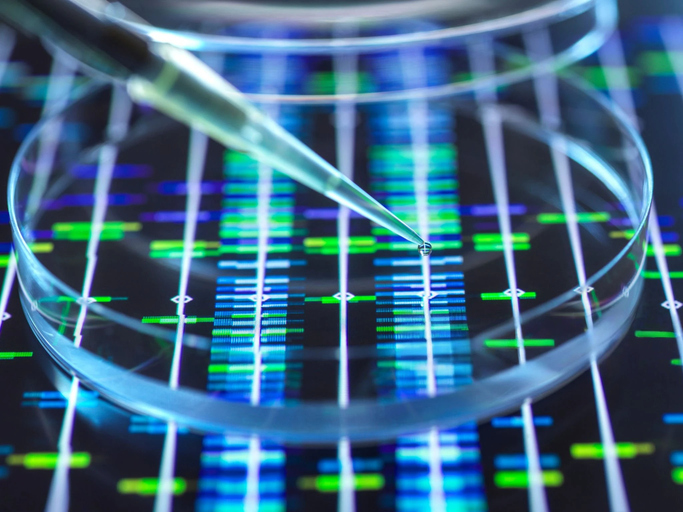 Key Elements of High-Performing Biotech and Pharma Websites